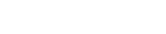 el ceo